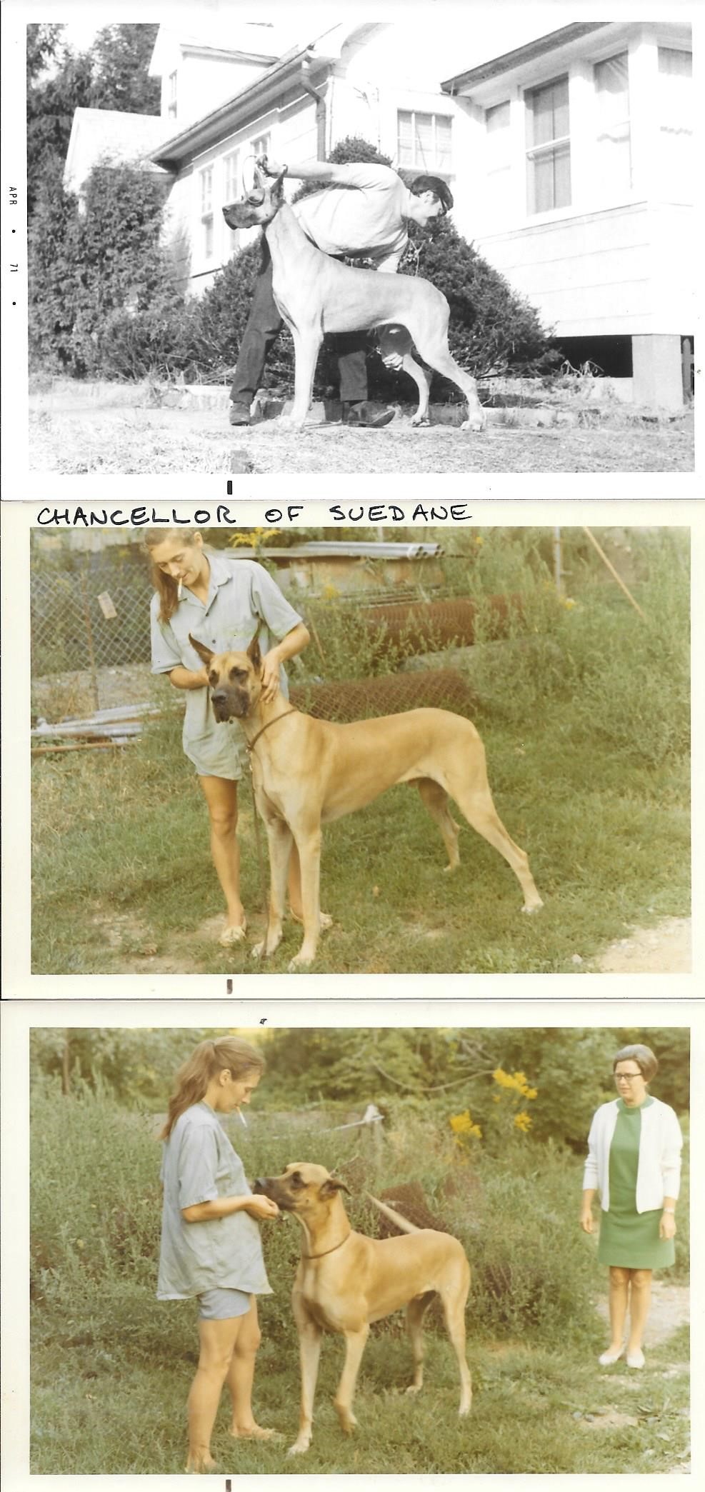 Chancellor of Suedane